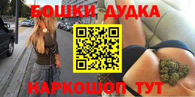 прущие грибы Можга