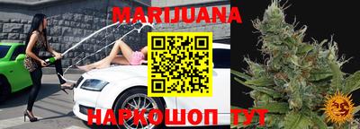 прущие грибы Можга
