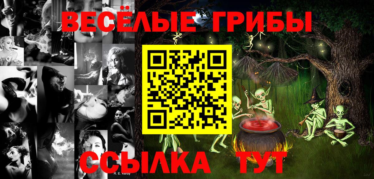 Псилоцибиновые грибы Cubensis Курчатов