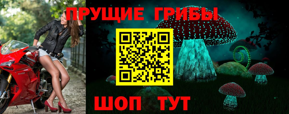 Псилоцибиновые грибы Magic Shrooms  Вход с VPN  Курчатов 