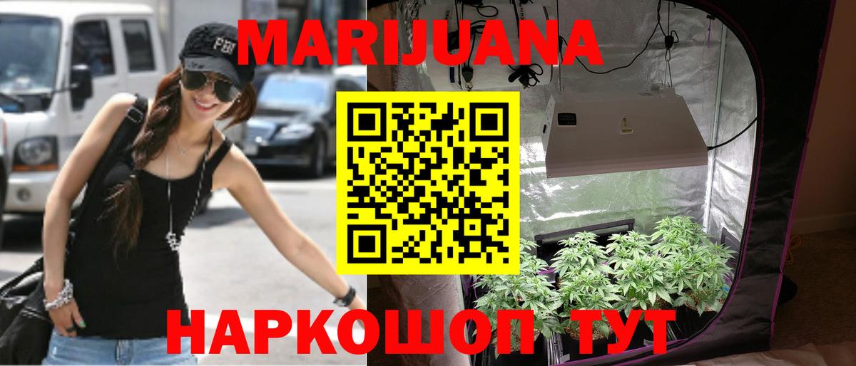 Бошки Шишки конопля  Шишки марихуана планчик  Курчатов  Канабис план  Вход с VPN  Бошки Шишки план 